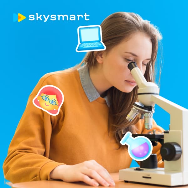 Онлайн-курсы по химии для школьников 7-11 класс