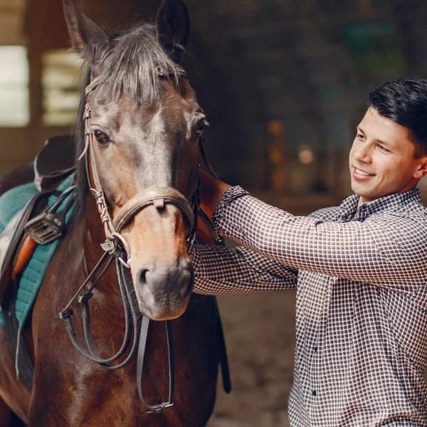 Ветеринария + Коневодство: разведение, содержание и использование лошадей