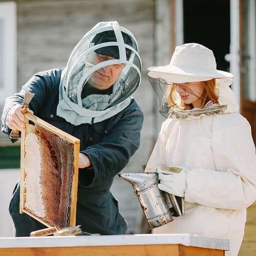 Ветеринария + Пчеловодство