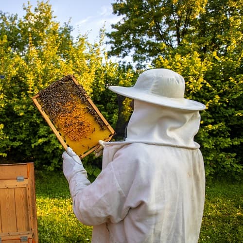 Зоотехния + Пчеловодство