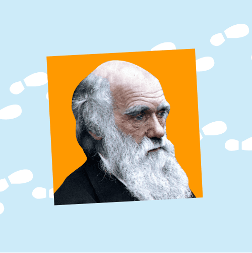 Углубленный курс генетики, 7-11 класс