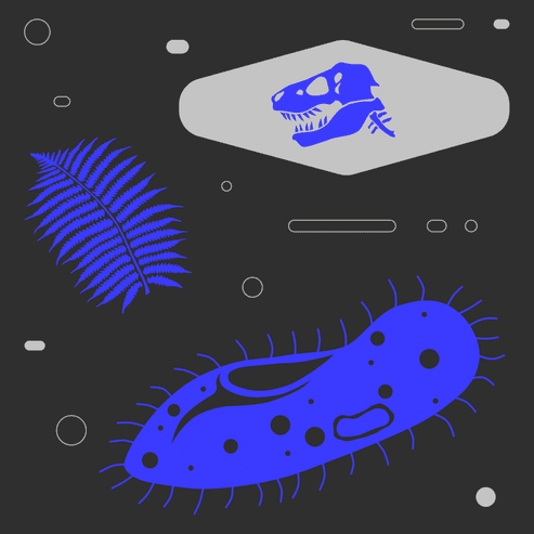 Эволюция жизни на Земле. Бесплатный курс