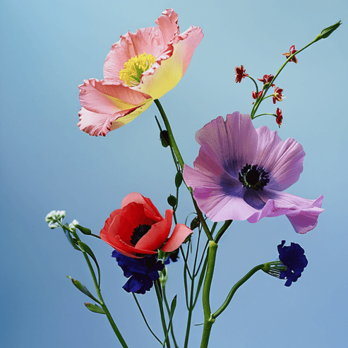 Флористика с нуля