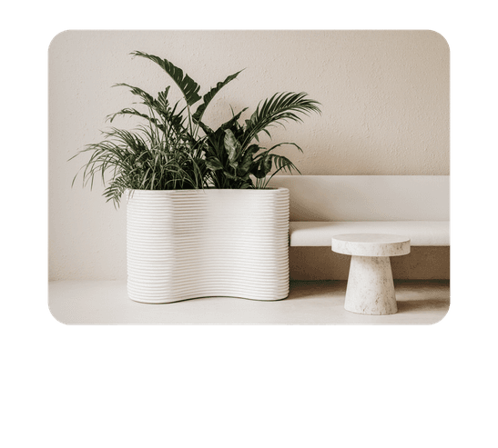 Фитодизайн