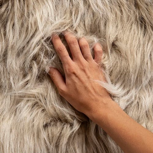 Ветеринария + Меховое звероводство и технологии переработки продукции