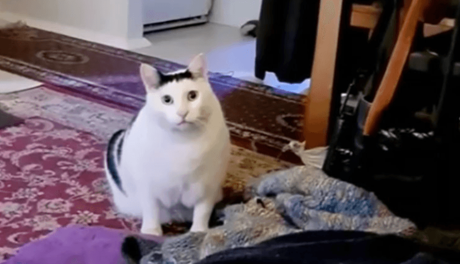 Травма насилия. Психологическая помощь